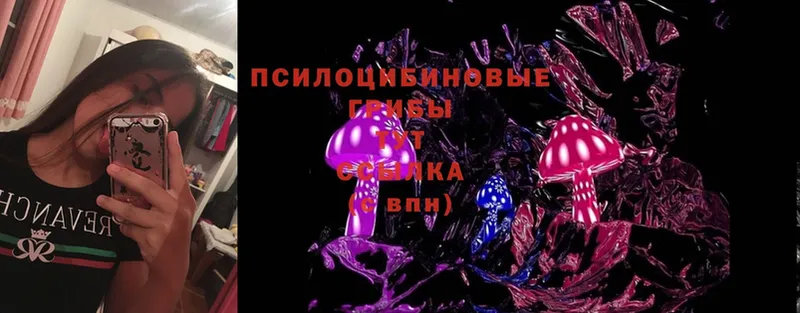 Псилоцибиновые грибы Psilocybine cubensis  купить закладку  Талдом 